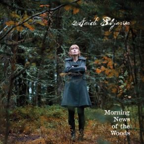 Download track Morning Hour Heidi Skjerve