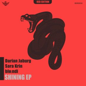 Download track Shining (Sara Krin Remix) Darian JaburgSara Krin