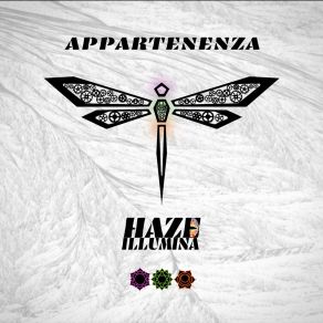 Download track Narayana HAZE Illumina