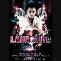 Download track Fiesta De Amor (Radio Edit) Liviu Guta