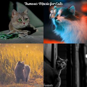 Download track Serene (Music) Famous Music For CatsThe Music