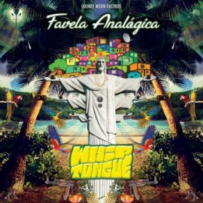 Download track Favela Analogica Whiptongue, Axial Tilt