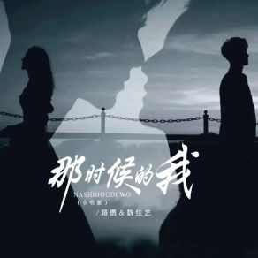 Download track 那时候的我 (合唱DJ版伴奏) 魏佳艺