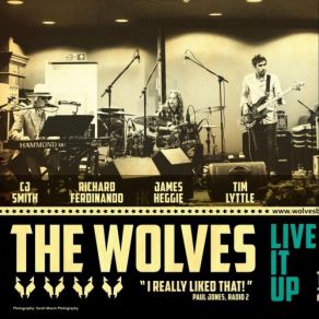 Download track Testifyin' The Wolves