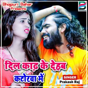 Download track Sina Ke Bhitar Dil Tuttave Prakash Raj