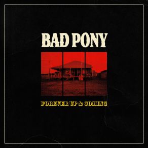 Download track Catapults Bad Pony