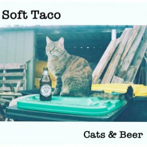 Download track Amsters Soft Taco