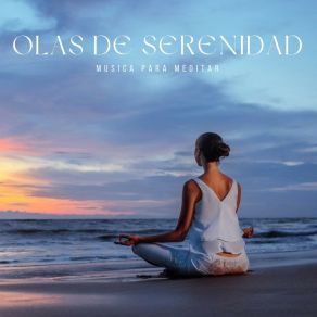 Download track Música Zen Musica Para Meditar