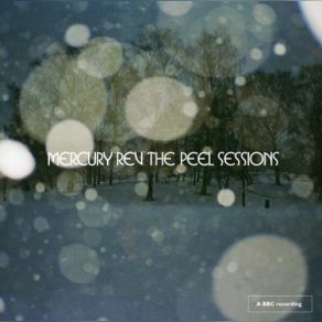 Download track Trickledown (John Peel Session 13.07.1993) Mercury Rev