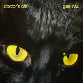 Download track Feel The Drive Doctor'S Cat