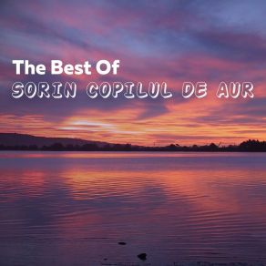 Download track NEVASTA MEA Sorin Copilul De Aur