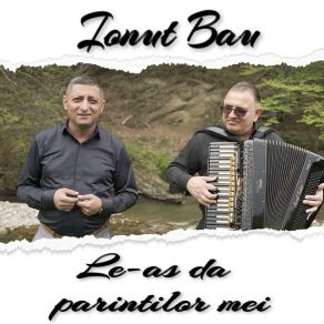 Download track CINE-MI ESTE AJUTOR IONUT BAU