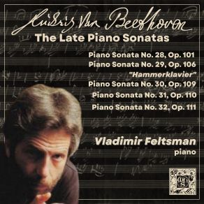 Download track Piano Sonata No. 28 In A Major, Op. 101: IV. Allegro Vladimir Feltsman