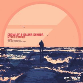 Download track Mystic Stranger (Zero Type Electro-House Remix) Crowley