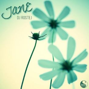 Download track Forever (Original Mix) Dj Rostej