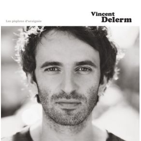 Download track Il Fait Si Beau Vincent Delerm