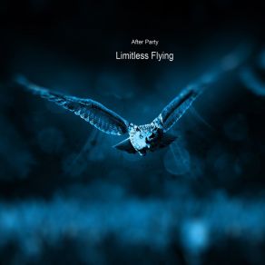 Download track Boundless Balance Limitless Flying