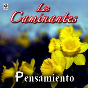 Download track Menudita Los Caminantes