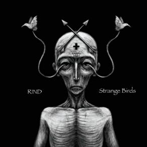 Download track Strange Birds Rind