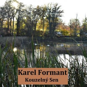 Download track Weightless Journey Karel Formant