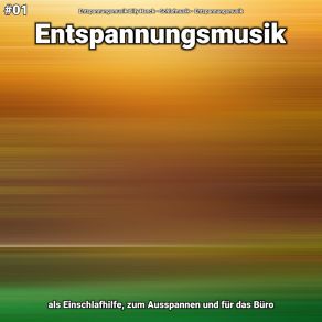 Download track Entspannungsmusik Teil 21 Entspannungsmusik