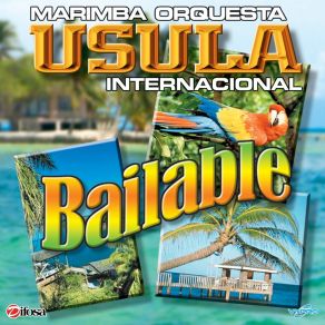 Download track El Sombrero De Gaspar Marimba Orquesta