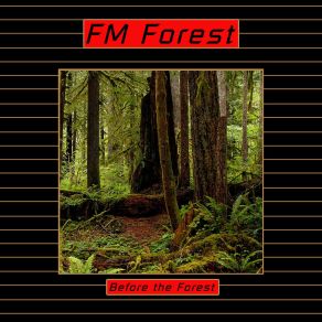 Download track Swimming In System Lake Fm Forest