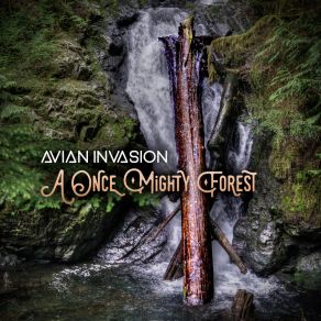 Download track A Once Mighty Forest (Radio Edit) Avian Invasion