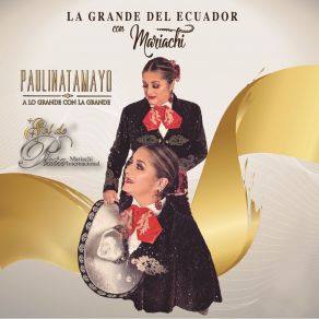 Download track Nadie Es Eterno En El Mundo Paulina Tamayo