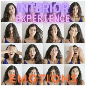 Download track Temperament Interior Experience