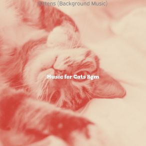 Download track Warm (Kittens) Music For Cats Bgm