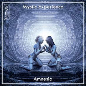 Download track Amnesia (Radio Edit) Mystic Experience