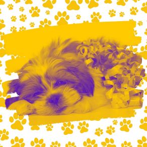 Download track Bubbly Moods For Sleepy Pups Famous Doggy Music