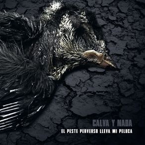 Download track Carnes Tristes Calva Y Nada