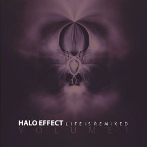 Download track Wintery Fall (Touch Of Substaat Remix By Substaat) Halo Effect, Haloeffectofficial