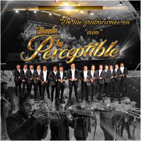 Download track El Venado (En Vivo) Banda La Perceptible