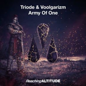 Download track Army Of One (Original Mix) Voolgarizm, Triode