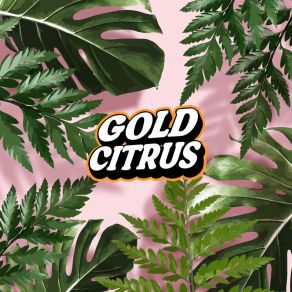 Download track Ondeados (Sesión De Patio) Gold Citrus