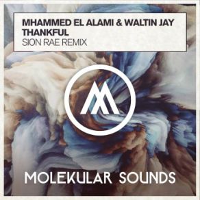 Download track Thankful (Sion Rae Dub) Mhammed El Alami, Waltin Jay