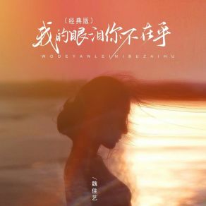 Download track 我的眼泪你不在乎 (经典版 伴奏) 魏佳艺