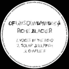 Download track Voices In The Echo (Original Mix) Richie Blacker