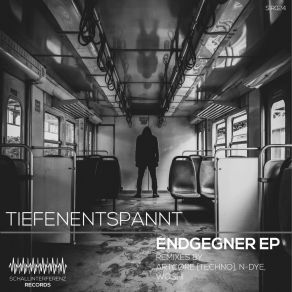 Download track Endgegner (Woshi Remix) TiefenentspanntWoshi