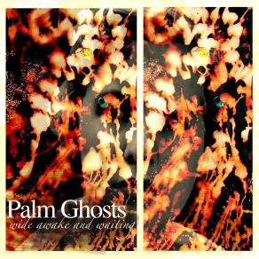 Download track Kill The Buzz Palm Ghosts