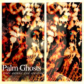 Download track The Party's Over Palm Ghosts