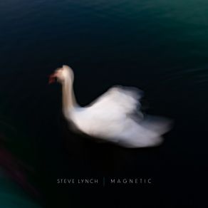 Download track Iceberg Shifting Steve Lynch