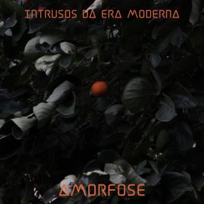 Download track Intro Intrusos Da Era Moderna - I. D. E. M