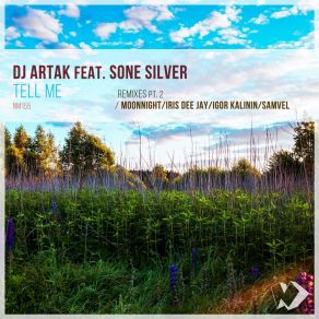 Download track Tell Me (Original Mix) Sone Silver