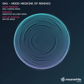 Download track Mood Medicine (Paul Kardos Remix) Sebastian Sellares