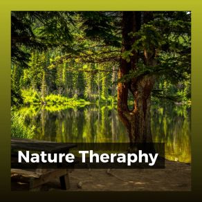 Download track Calm Nature Sounds With Music, Pt. 41 Recording Nature