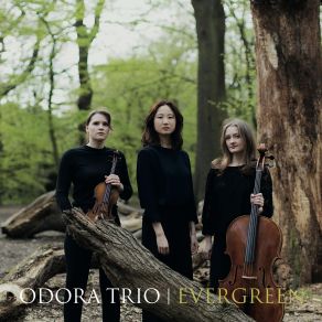 Download track Piano Trio No. 3 In E Major: I. Allegro Moderato Odora Trio